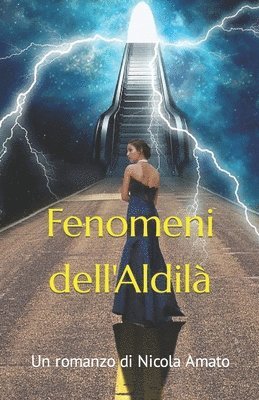 bokomslag Fenomeni Dell'Aldil