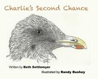 bokomslag Charlie's Second Chance