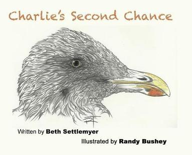 bokomslag Charlie's Second Chance