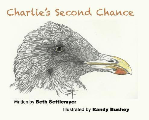 Charlie's Second Chance 1