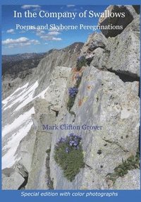 bokomslag In The Company Of Swallows: Poems And Sk