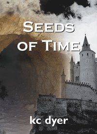 bokomslag Seeds of Time