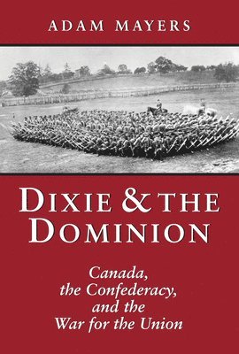 bokomslag Dixie & the Dominion
