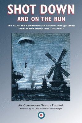 Shot Down and On the Run