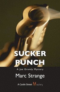 bokomslag Sucker Punch