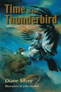 bokomslag Time of the Thunderbird