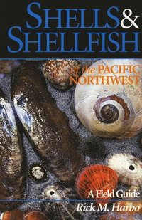 bokomslag Shells and Shellfish of the Pacific Northwest