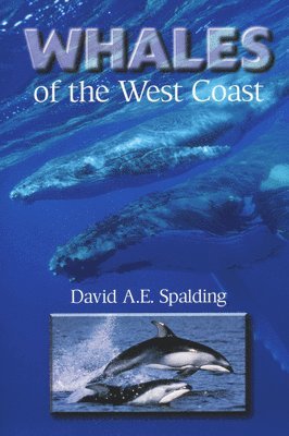 bokomslag Whales of the West Coast