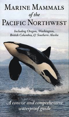 bokomslag Marine Mammals of the Pacific Northwest