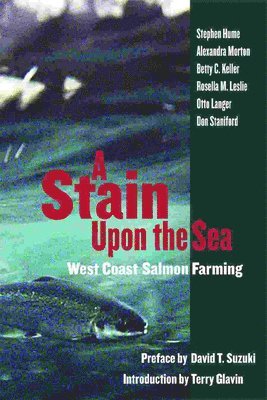Stain Upon the Sea