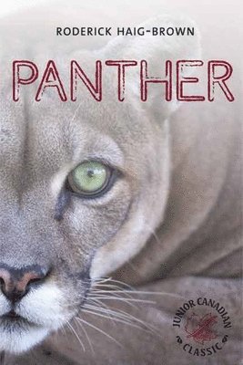 Panther 1