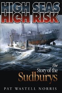 bokomslag High Seas, High Risk