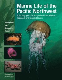 bokomslag Marine Life of the Pacific Northwest