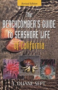 bokomslag The Beachcomber's Guide to Seashore Life of California