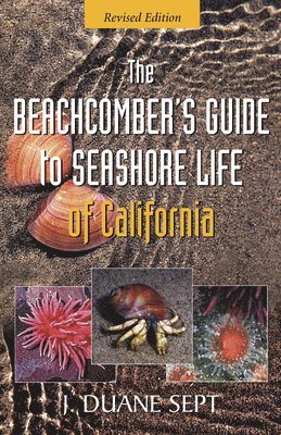 Beachcomber's Guide to Seashore Life of California