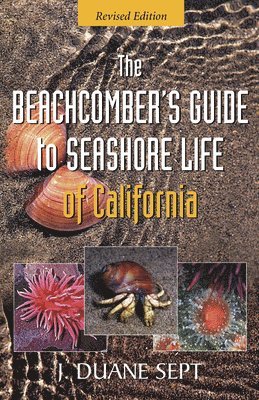 The Beachcomber's Guide to Seashore Life of California 1