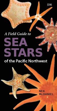 bokomslag Field Guide to Sea Stars of the Pacific Northwest