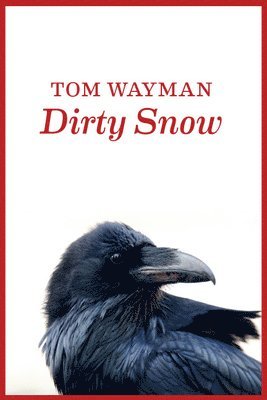 Tom Wayman - Dirty Snow, Häftad