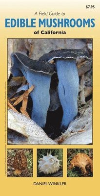 bokomslag Field Guide to Edible Mushrooms of California