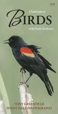 bokomslag Field Guide to Birds of the Pacific Northwest