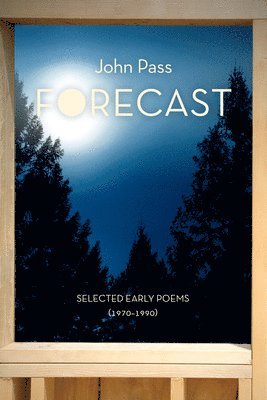 Forecast 1