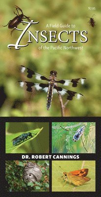 bokomslag Field Guide to Insects of the Pacific Northwest