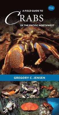 bokomslag Field Guide to Crabs of the Pacific Northwest