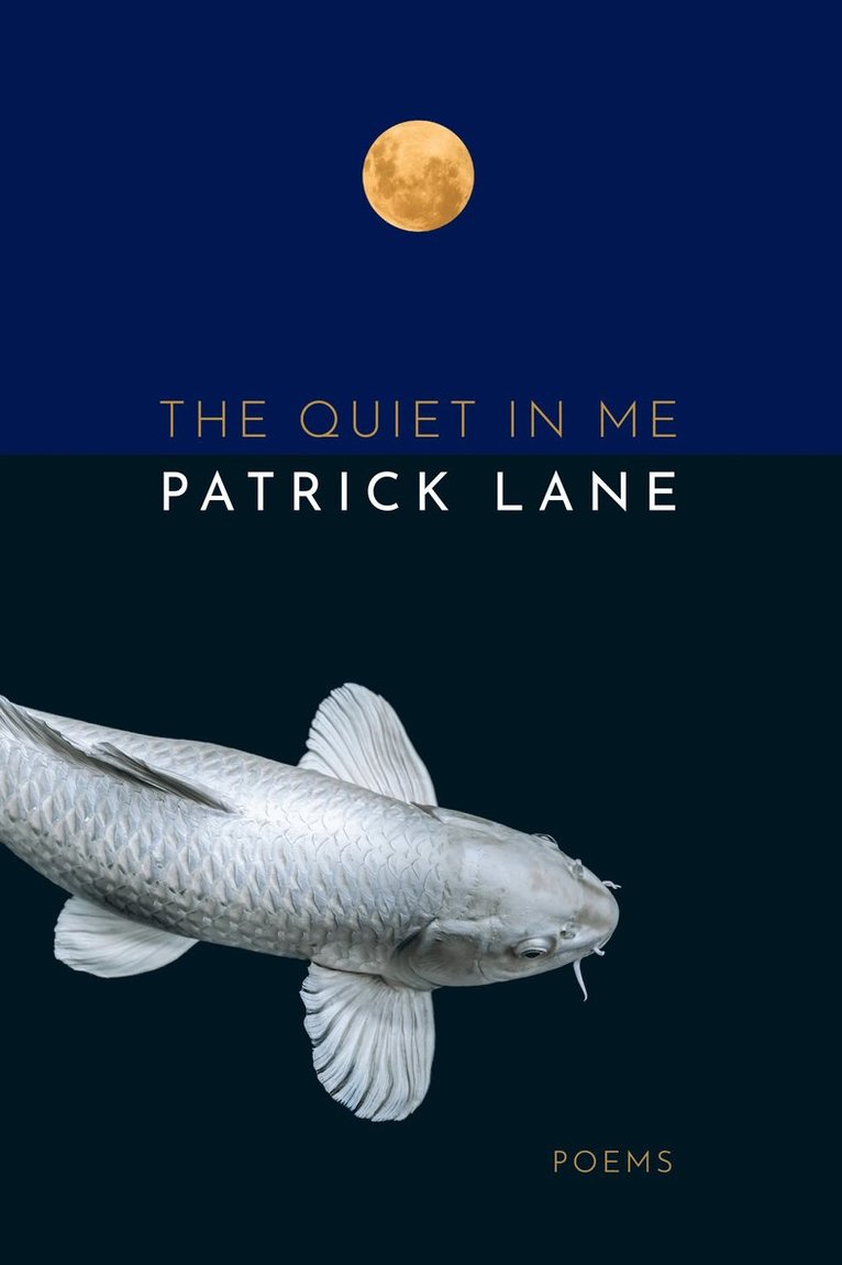 Patrick Lane - Quiet in Me, Häftad