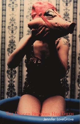 Jennifer Lovegrove - The Dagger Between Her Teeth, Häftad