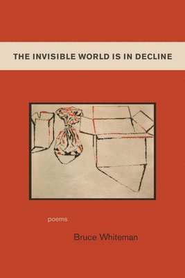 Bruce Whiteman - The Invisible World Is in Decline, Häftad