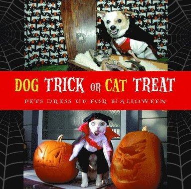 bokomslag Dog Trick Or Cat Treat