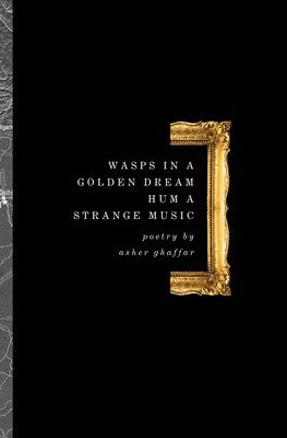 Asher Ghaffar - Wasps in a Golden Dream Hum a Strange Music, Häftad