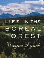 Life in the Boreal Forest 1