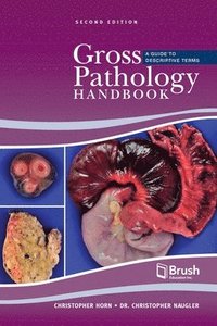 bokomslag Gross Pathology Handbook