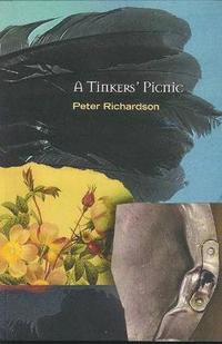 bokomslag A Tinker's Picnic