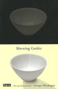 bokomslag Morning Gothic