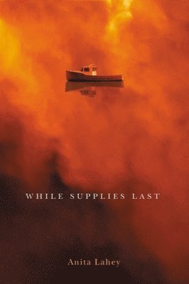 Anita Lahey - While Supplies Last, Häftad