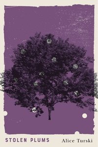 bokomslag Stolen Plums