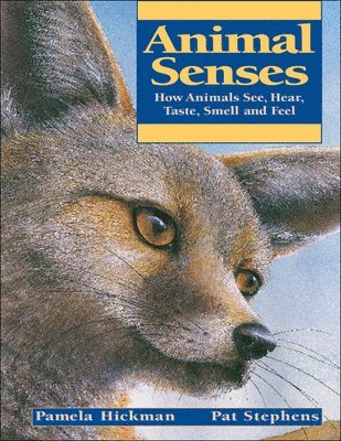 Pamela Hickman - Animal Senses: How Animals See, Hear, Taste, Smell and Feel, Häftad