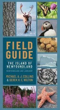 bokomslag Field Guide to Newfoundland and Labrador: The Island of Newfoundland