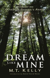 bokomslag Dream Like Mine
