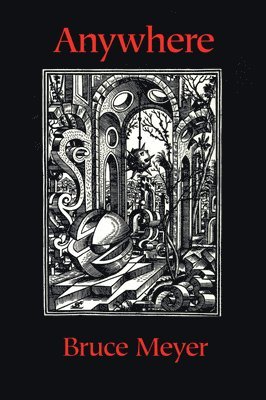 Bruce Meyer - Anywhere, Häftad