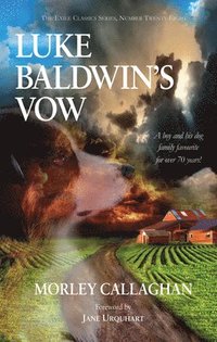 bokomslag Luke Baldwin's Vow