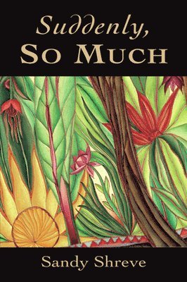 Sandy Shreve - Suddenly, So Much, Häftad