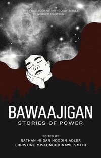 bokomslag Bawaajigan