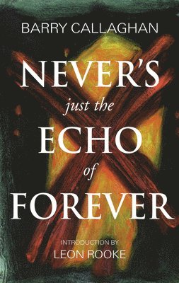 Never's Just the Echo of Forever 1