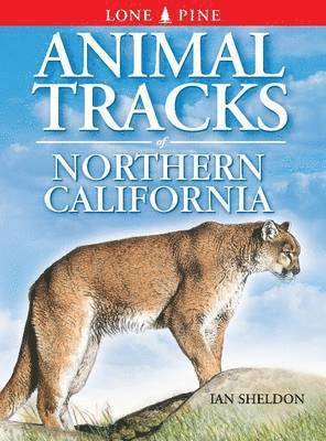 Animal Tracks of Northern California