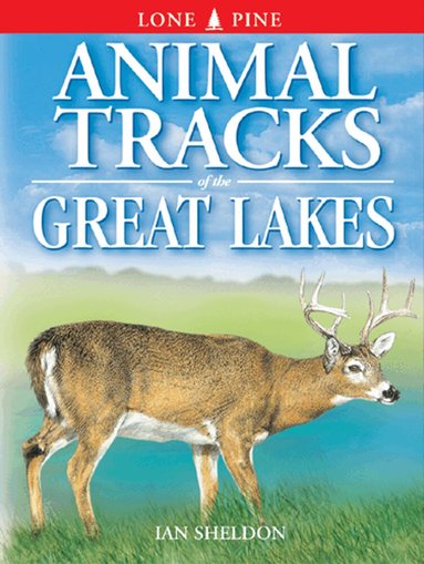 Ian Sheldon - Animal Tracks of the Great Lakes, Häftad