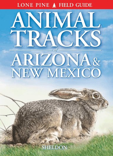 Ian Sheldon - Animal Tracks of Arizona & New Mexico, Häftad