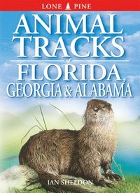 bokomslag Animal Tracks of Florida, Georgia and Alabama